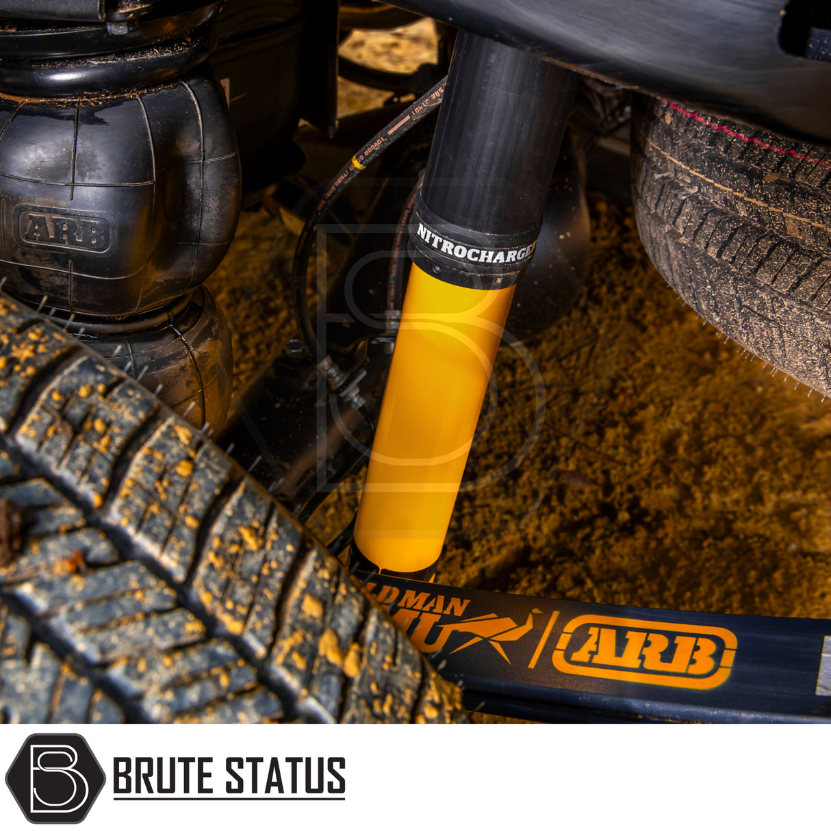 Close-up of Ford Ranger 2023+ T9 Old Man Emu Nitrocharger suspension lift kit, showcasing heavy-duty Bilstein shock absorber and ARB air spring for off-road enhancement.