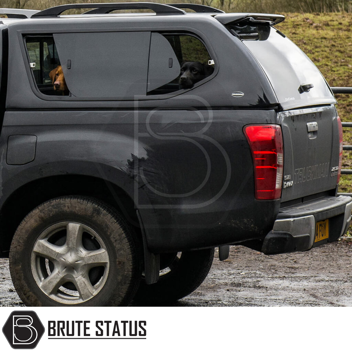 Isuzu D-Max 2012-2021 Truckman GLS Hardtop Canopy with dogs in sliding windows, showcasing remote locking and roof bars on a black pickup truck.