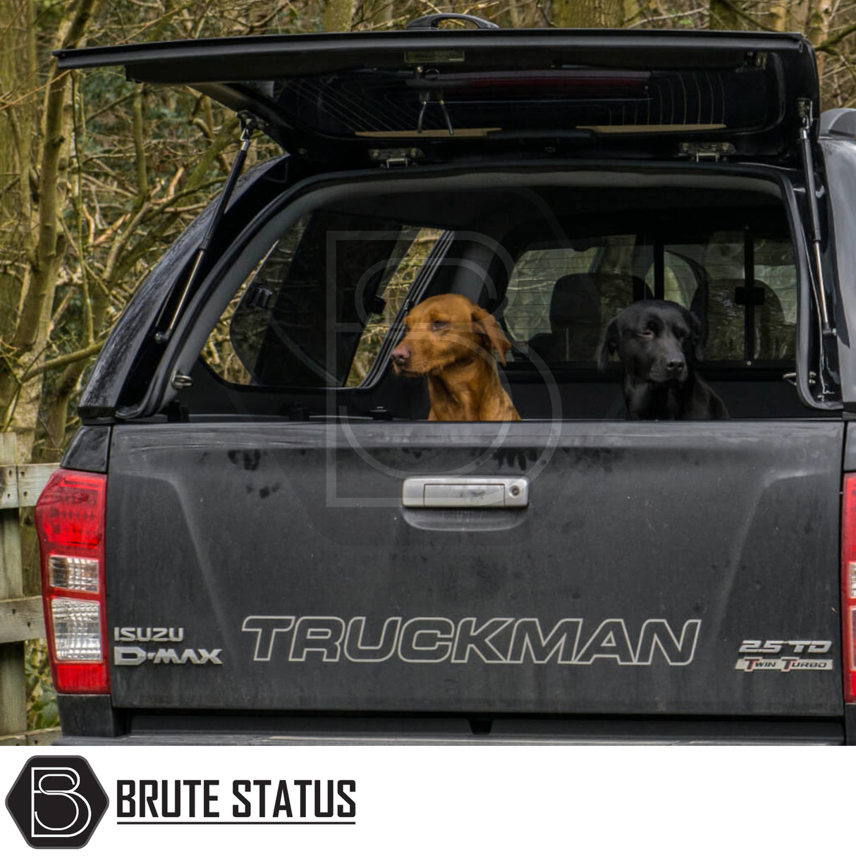 Isuzu D-Max 2012-2021 Truckman GLS Hardtop Canopy with remote locking, roof bars, and sliding windows, shown with two dogs in the truck bed.