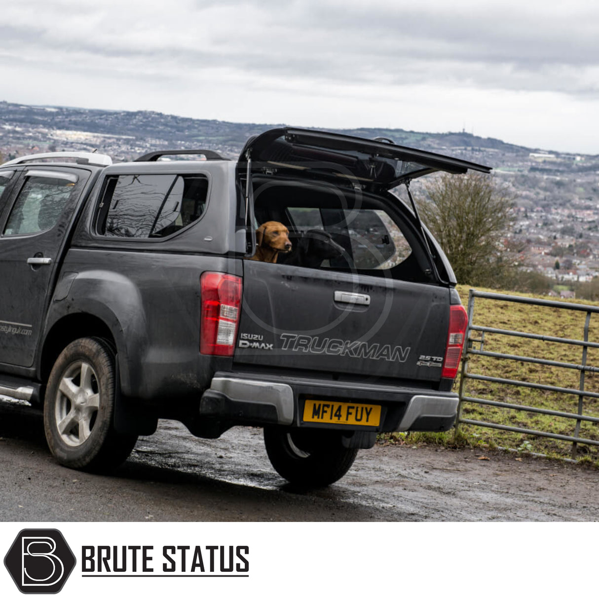 Isuzu D-Max 2012-2021 Truckman GLS Hardtop Canopy with remote locking and roof bars, featuring an open rear hatch with a dog inside.