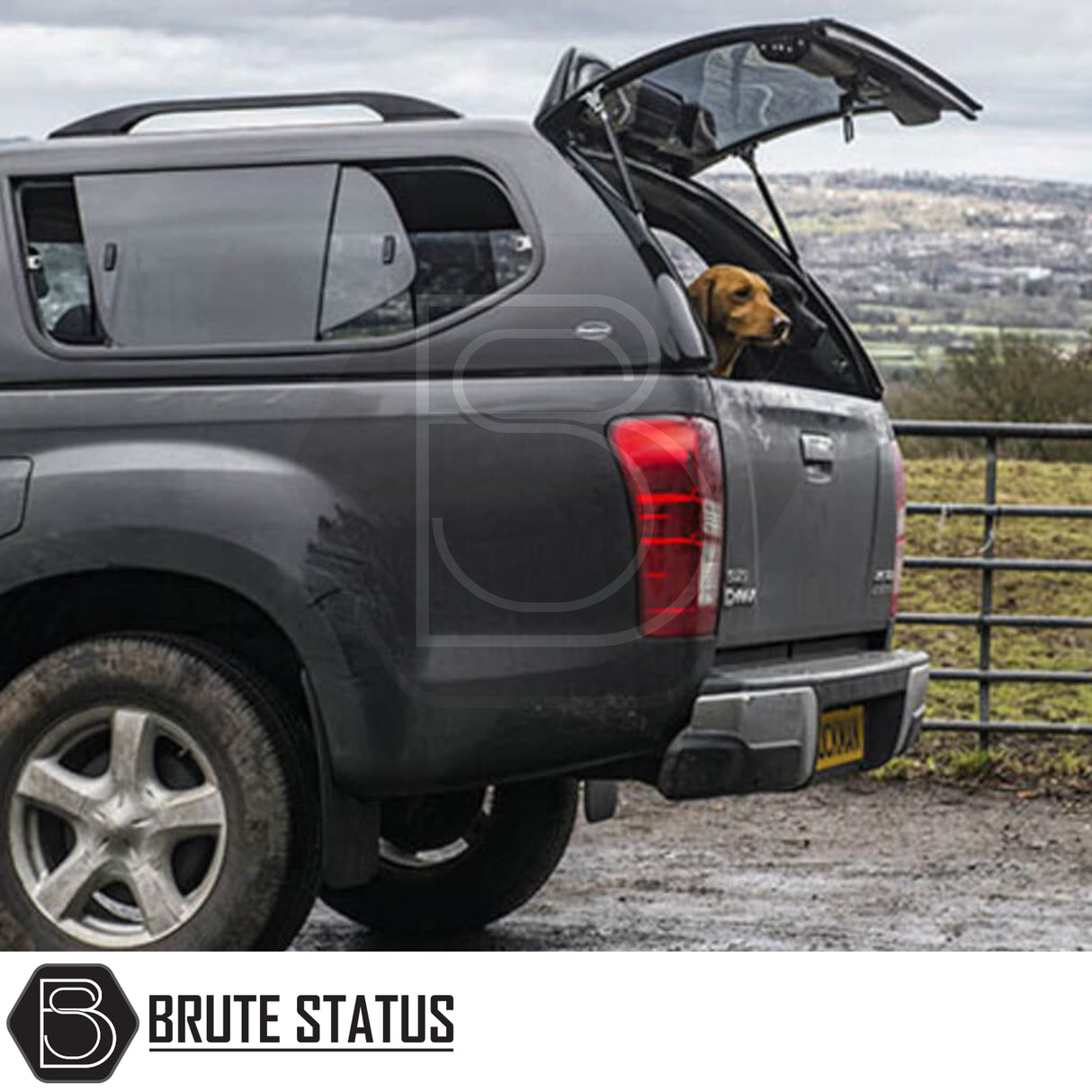 Isuzu D-Max 2012-2021 Truckman GLS Hardtop Canopy with remote locking, roof bars, and a dog peeking out, highlighting its secure, ventilated design ideal for pet owners.
