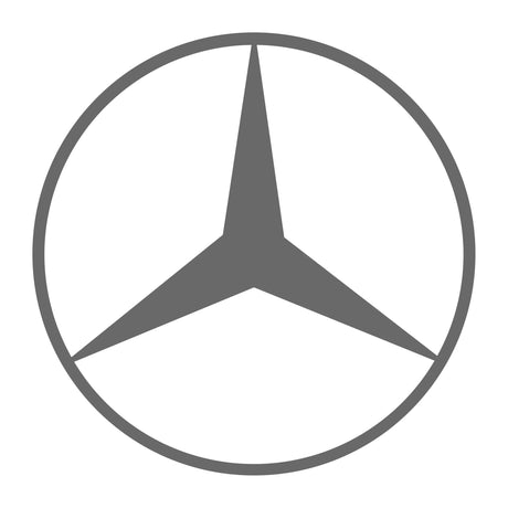 Grey logo featuring a pointed star within a circle, reflecting Brute Status's focus on unique and desirable aftermarket truck accessories.