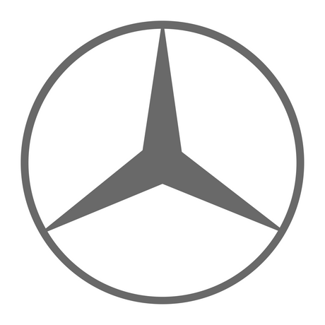 Grey logo featuring a pointed star within a circle, resembling a sketch or drawing, reflecting Brute Status's unique aftermarket accessories style for pick-up trucks.