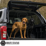 Isuzu D-Max 2012-2021 Truckman GLS Hardtop Canopy shown on a pickup with two dogs, highlighting its pet-friendly design and remote locking feature.
