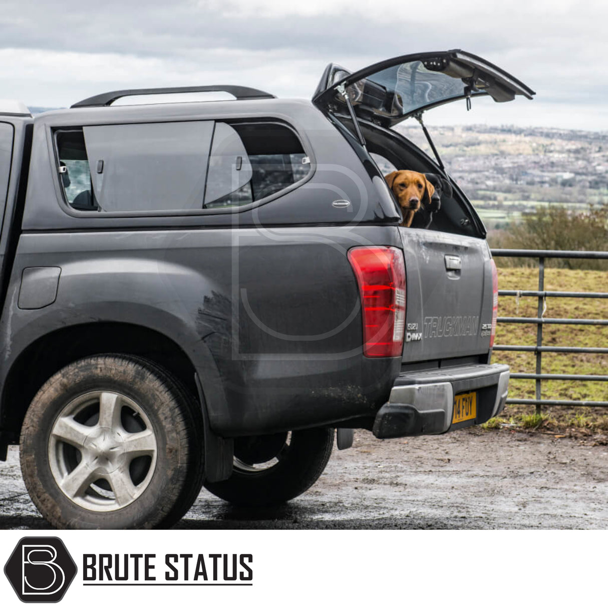 Isuzu D-Max 2012-2021 Truckman GLS Hardtop Canopy shown with open tailgate, dog peeking out, showcasing remote locking, roof bars, and sliding windows on a farm lane.