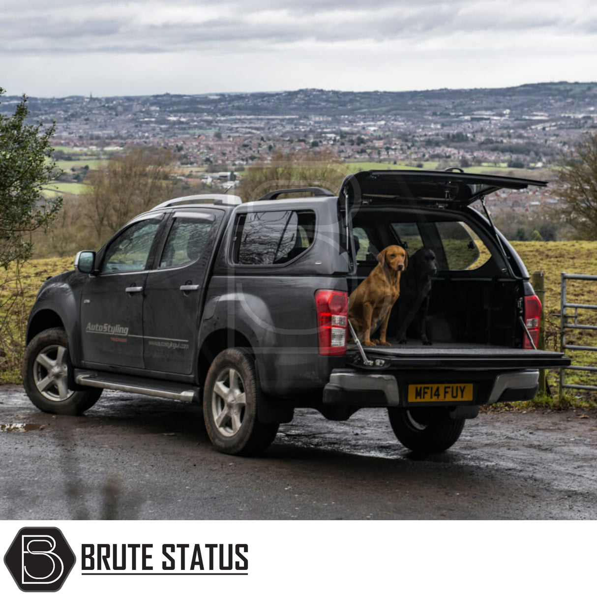 Isuzu D-Max 2012-2021 Truckman GLS Hardtop Canopy with remote locking and roof bars, shown on a parked pickup with two dogs in the bed.